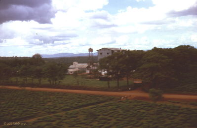 Marshall Ferris Photo
