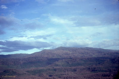 Marshall Ferris Photo
