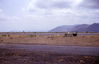 MarshallFerris_0039.jpg