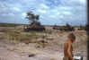 MarshallFerris_0077.jpg