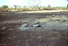 MarshallFerris_0079.jpg