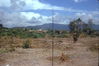 MarshallFerris_0081.jpg