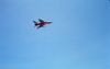 MarshallFerris_0092.jpg
