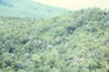 MarshallFerris_0097.jpg