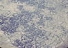 MarshallFerris_0131.jpg
