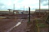 MarshallFerris_0217.jpg