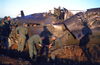 MarshallFerris_0289.jpg