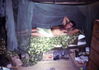 MarshallFerris_0299.jpg