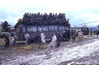 MarshallFerris_0355.jpg