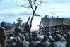 MarshallFerris_0390.jpg