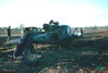 MarshallFerris_0392.jpg