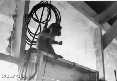 Christie
Mickey Barry Photo
Lai Khe
