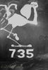 043_Magnet_Ass_735.jpg