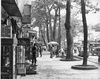 065_down_town_Plaiku_city.jpg