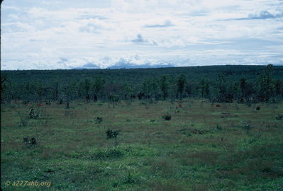 LZ Joe perimeter
Bob Kelly Photo
