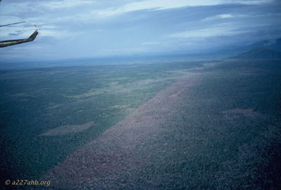 Results of Agent Orange
Bob Kelly Photo
