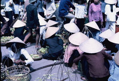 Looks like sugar cane
Bob Kelly Photo

Phan Thiet market showing what looks like sugar cane. Ladies on right in typical Vietnamese squat.

