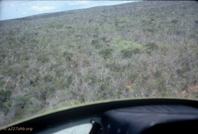 Lee Hong Phong Forest
Jim Puhala Photo

Note: Thereâ€™s a gunship at 12 oâ€™clock.
Phan Thiet
