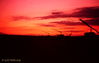 021FlightlineSunset.jpg