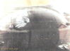 029n812.jpg