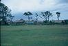085R1K49.jpg