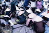 171R2K54.jpg