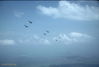 321JP7_5.jpg