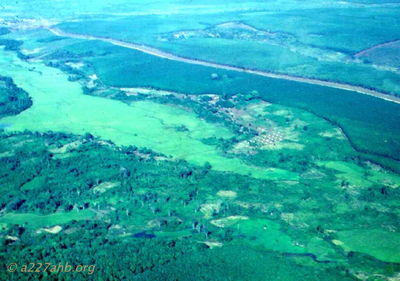 Rubber Plantation along Highway to Quan Loi
Howard Burbank Photo
