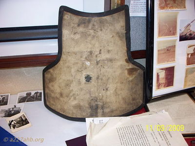 Aaron Cobb's chest protector
Wayne Driver Photo


