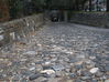 PB041055.jpg