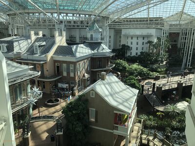 Opryland Hotel - Inside the atrium
Lillian Burbank Photo
