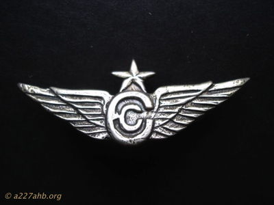  Crew cheif Wing made in 'Nam 
Dennis Burden Collection
