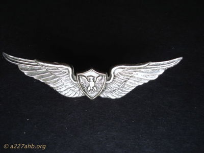  'Nam made crew chief wings 
Dennis Burden Collection
