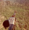 TimO_Connor06a.jpg