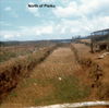 Scan-017.jpg