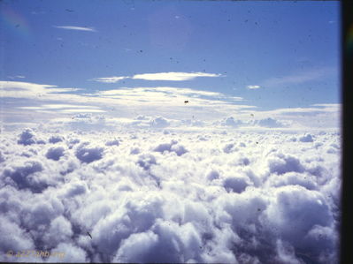 Flying above the clouds
Wayne Trucke Photo
