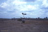 WT025-4-69_6.jpg