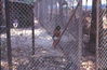 WT029-4-69_10.jpg