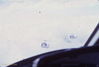 WT174-c7-69_10.jpg
