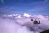 WT178-c7-69_13.jpg